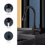 Matt Black Pull-Down Kitchen Mixer Tap with 3-Mode Spray