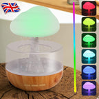 Rain cloud humidifier