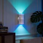 Motion sensor night lights